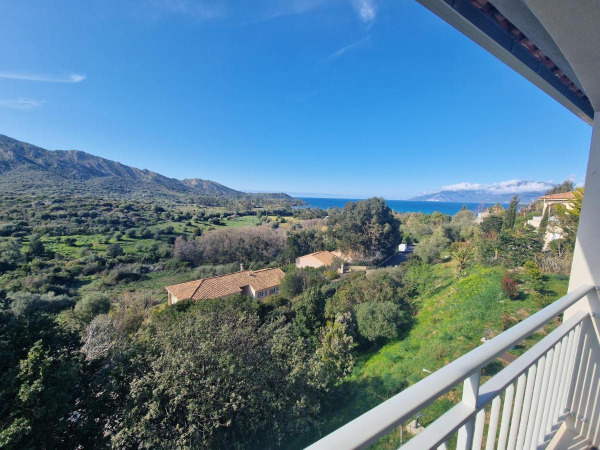Appartement Vue Mer Fromontica Saint-Florent  Eksteriør billede