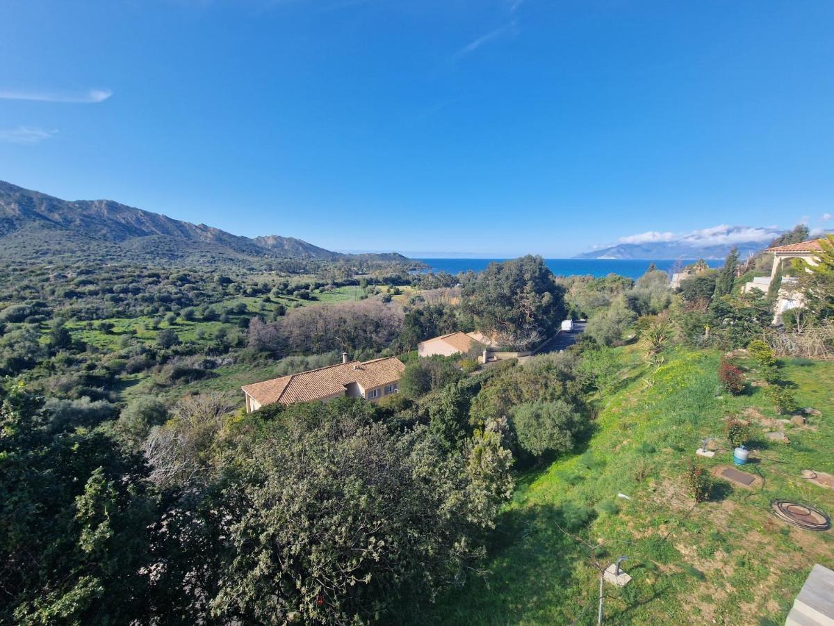 Appartement Vue Mer Fromontica Saint-Florent  Eksteriør billede