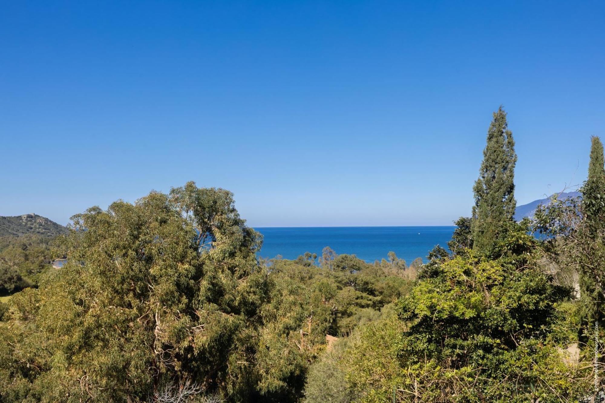 Appartement Vue Mer Fromontica Saint-Florent  Eksteriør billede