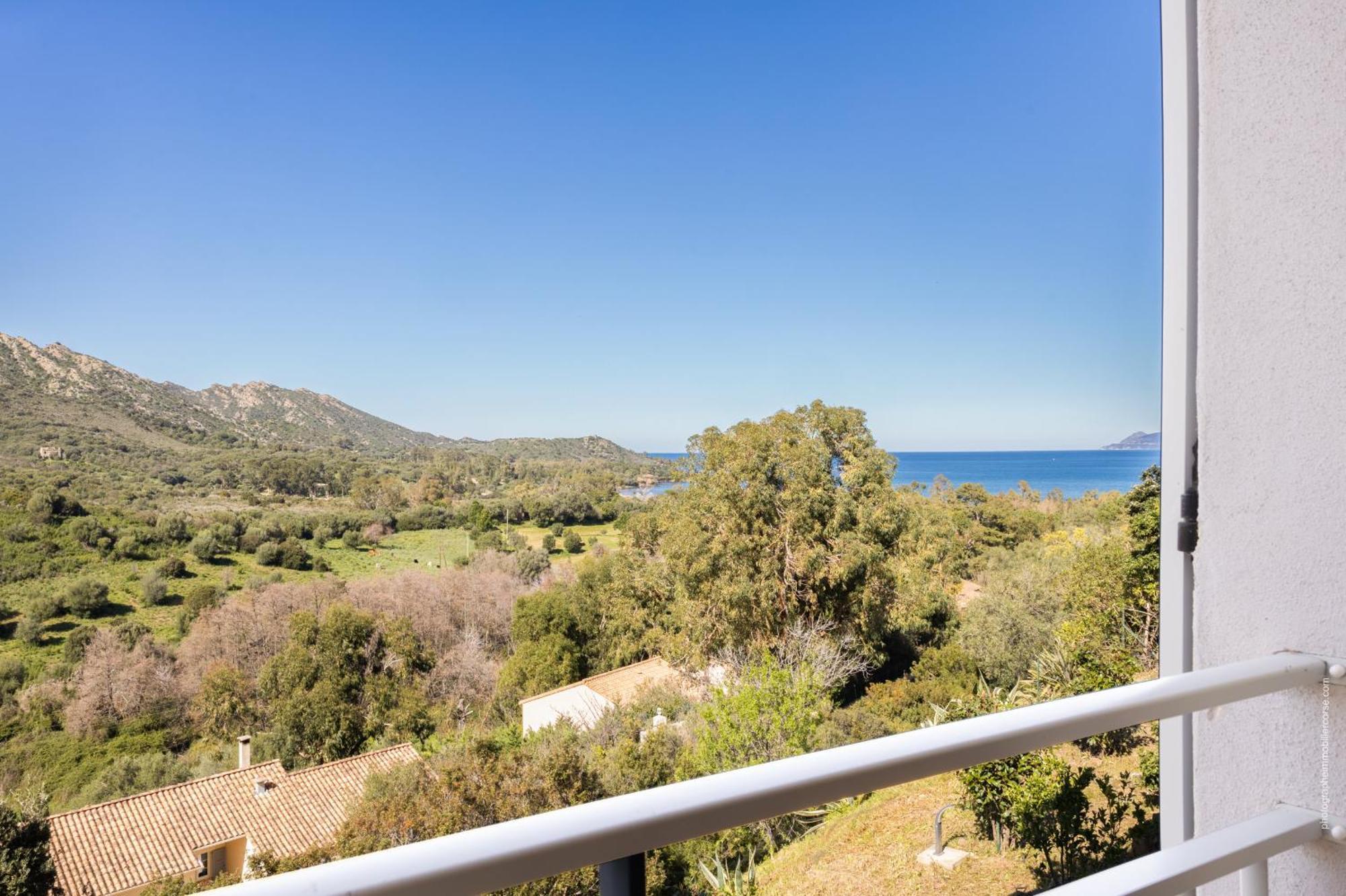 Appartement Vue Mer Fromontica Saint-Florent  Eksteriør billede